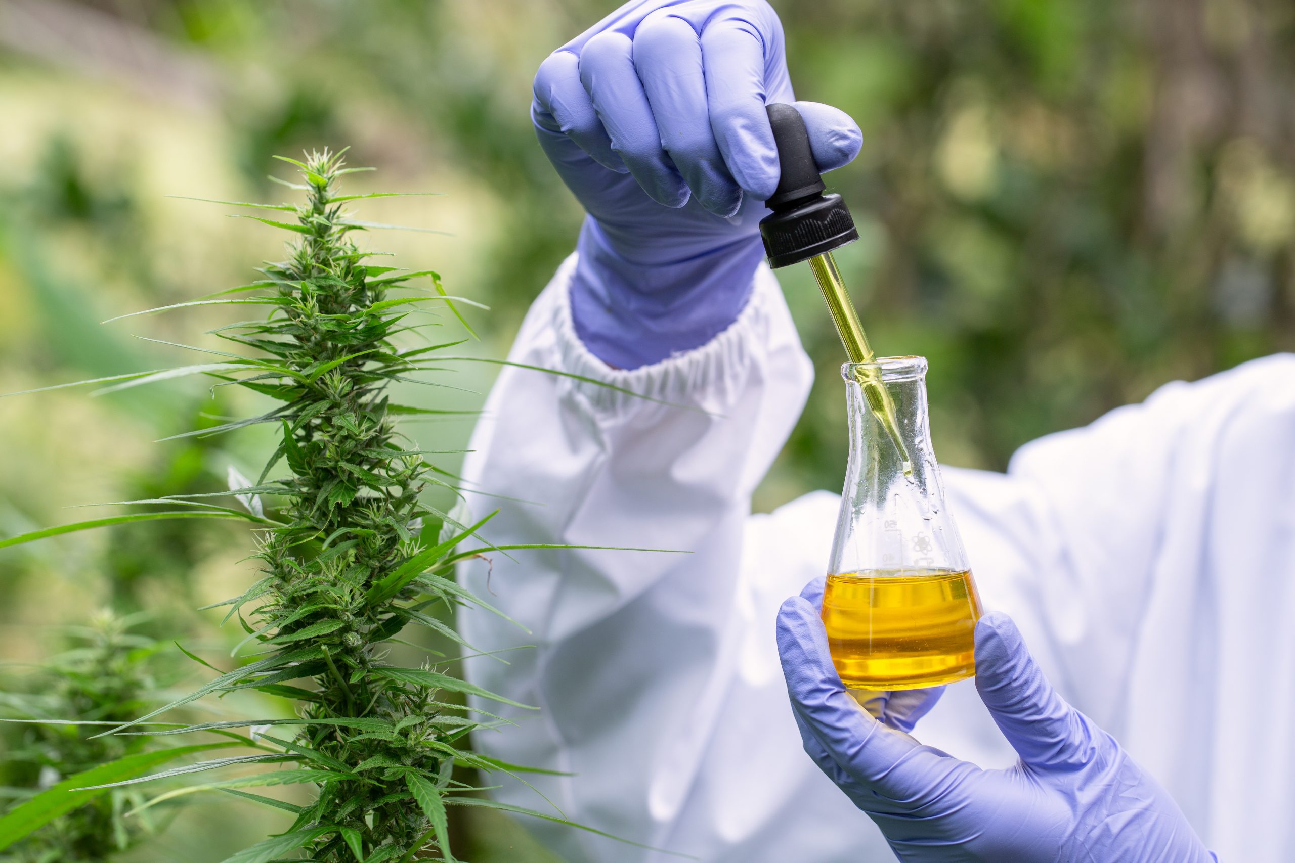 What CBD is Right for Me? How to Make the Best Choice